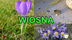 wiosnappt