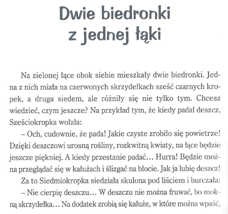 Dwie biedronki 1