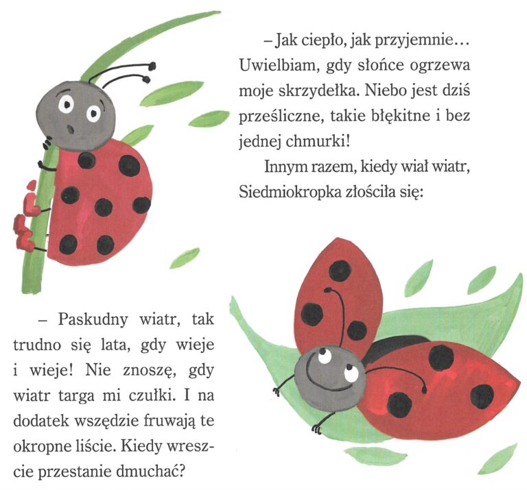 Dwie biedronki 4