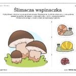 slimacza wspinaczka