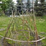 tipi