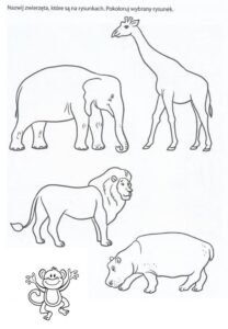kp zwierzeta w zoo