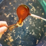 20191129 091611 rotated