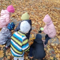 IMG 20241031 WA0002 IMG 20241031 WA0002