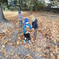 IMG 20241031 WA0006 IMG 20241031 WA0006