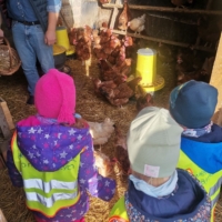 IMG 20241015 090647 IMG 20241015 090647