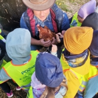 IMG 20241015 090805 IMG 20241015 090805