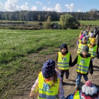 IMG 20241015 113238 IMG 20241015 113238