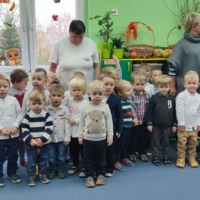 IMG 20241108 110706 IMG 20241108 110706