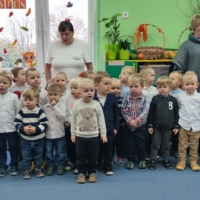 IMG 20241108 110810 IMG 20241108 110810