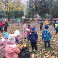 IMG 20241113 095556 IMG 20241113 095556