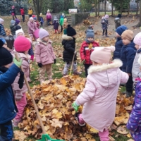 IMG 20241113 100259 IMG 20241113 100259