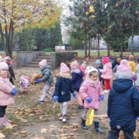 IMG 20241113 101119 IMG 20241113 101119