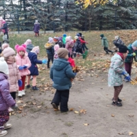 IMG 20241113 101130 IMG 20241113 101130