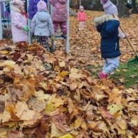 IMG 20241113 101436 scaled IMG 20241113 101436 scaled