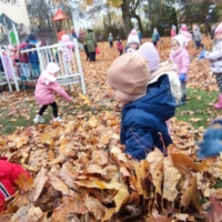 IMG 20241113 101916 IMG 20241113 101916