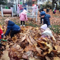 IMG 20241113 101920 IMG 20241113 101920