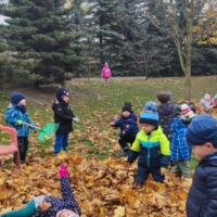 IMG 20241113 102203 scaled IMG 20241113 102203 scaled