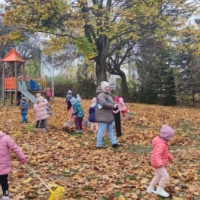 IMG 20241113 102210 IMG 20241113 102210