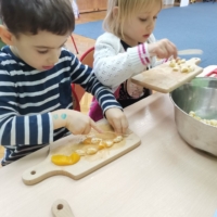 IMG 20241120 112037 IMG 20241120 112037