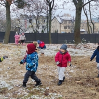 IMG 20241122 120558 IMG 20241122 120558