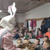 IMG 20250324 101521 scaled IMG 20250324 101521 scaled