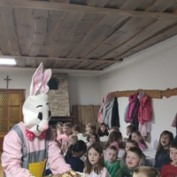 IMG 20250324 101538 scaled IMG 20250324 101538 scaled