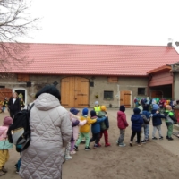 IMG 20250324 105247 IMG 20250324 105247