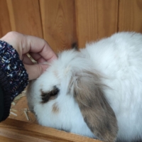 IMG 20250324 110216 scaled IMG 20250324 110216 scaled