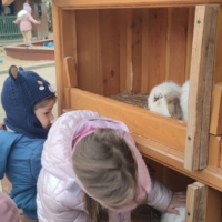 IMG 20250324 110237 scaled IMG 20250324 110237 scaled