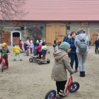 IMG 20250324 110331 IMG 20250324 110331