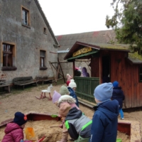 IMG 20250324 110537 scaled IMG 20250324 110537 scaled