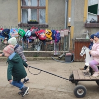 IMG 20250324 110630 IMG 20250324 110630