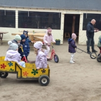 IMG 20250324 110837 IMG 20250324 110837