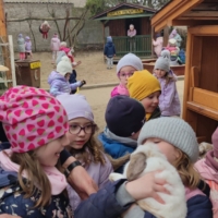 IMG 20250324 111636 scaled IMG 20250324 111636 scaled