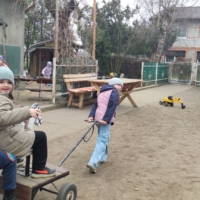 IMG 20250324 112210 IMG 20250324 112210