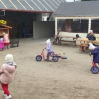 IMG 20250324 115128 IMG 20250324 115128