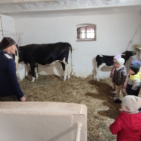 IMG 20250324 115651 IMG 20250324 115651