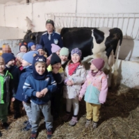 IMG 20250324 115804 IMG 20250324 115804