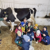 IMG 20250324 115916 IMG 20250324 115916