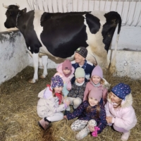 IMG 20250324 115941 IMG 20250324 115941