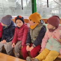 IMG 20250324 120813 IMG 20250324 120813