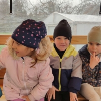 IMG 20250324 120816 IMG 20250324 120816