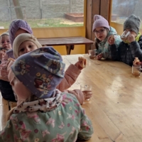 IMG 20250324 123731 scaled IMG 20250324 123731 scaled