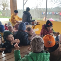 IMG 20250324 123736 scaled IMG 20250324 123736 scaled