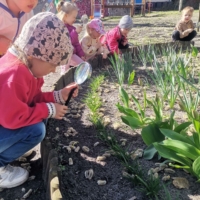 IMG 20250404 101225 IMG 20250404 101225