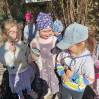 IMG 20250404 101311 IMG 20250404 101311