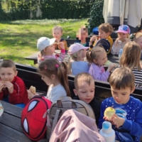 IMG 20250416 104425 scaled IMG 20250416 104425 scaled