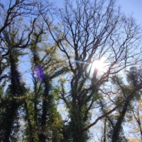 IMG 20250416 104740 scaled IMG 20250416 104740 scaled