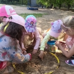 1000019733 1000019733